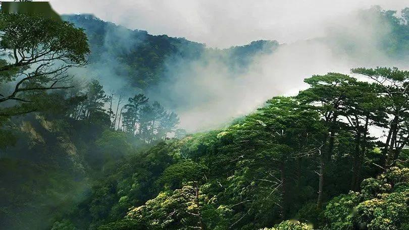 探索世界奇妙之旅,尽在猫咪肉垫很烫是发烧了吗?蜗牛问答平台